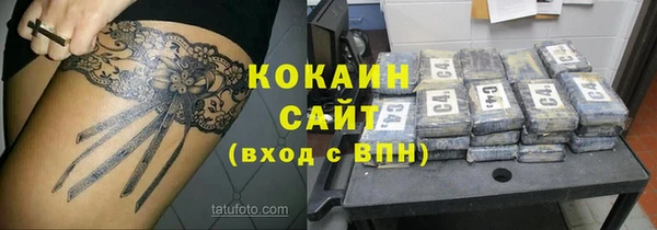 крисы Осташков