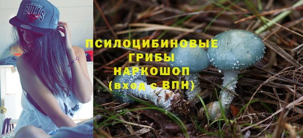 крисы Осташков