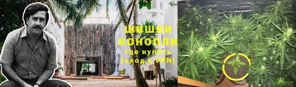 крисы Осташков