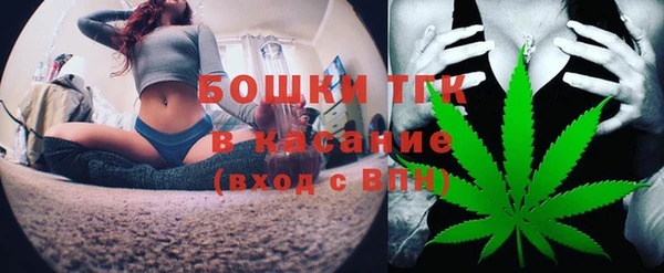 крисы Осташков