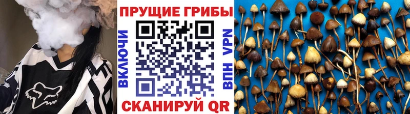 ссылка на мегу как зайти  Удомля  Псилоцибиновые грибы прущие грибы 