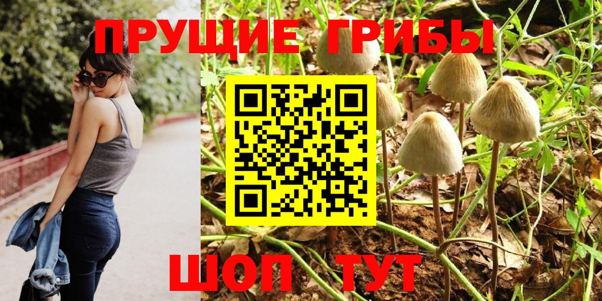 Псилоцибиновые грибы ЛСД  Вход с VPN  Удомля  Псилоцибиновые грибы ЛСД 